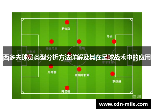 西多夫球员类型分析方法详解及其在足球战术中的应用