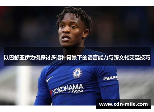 以巴舒亚伊为例探讨多语种背景下的语言能力与跨文化交流技巧 以巴舒亚伊为例探讨多语种背景下的语言能力与跨文化交流技巧