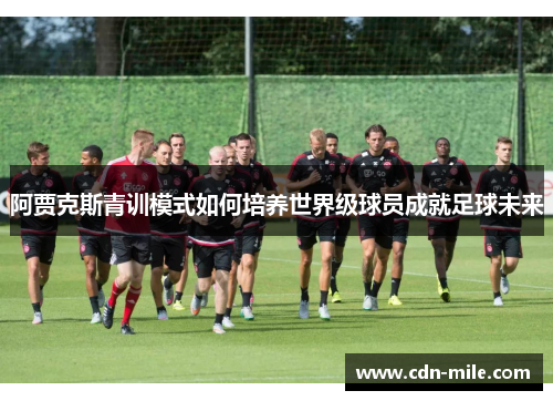 阿贾克斯青训模式如何培养世界级球员成就足球未来