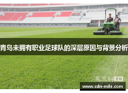 青岛未拥有职业足球队的深层原因与背景分析