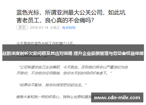 赵鹏深度剖析欠薪问题及其应对策略 提升企业薪酬管理与劳动者权益保障 赵鹏深度剖析欠薪问题及其应对策略 提升企业薪酬管理与劳动者权益保障