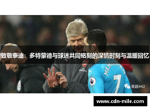 致敬泰迪:多特蒙德与球迷共同铭刻的深情时刻与温暖回忆 致敬泰迪:多特蒙德与球迷共同铭刻的深情时刻与温暖回忆